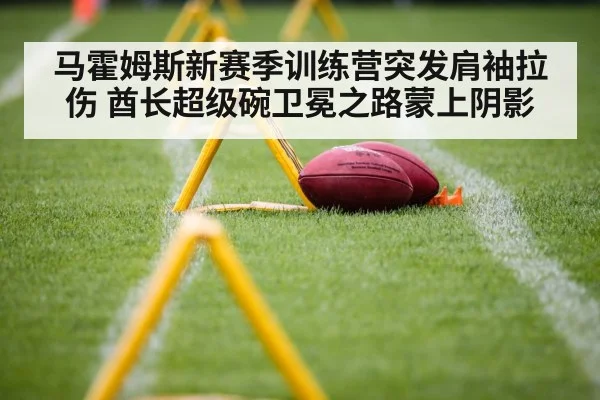 马霍姆斯新赛季训练营突发肩袖拉伤 酋长超级碗卫冕之路蒙上阴影