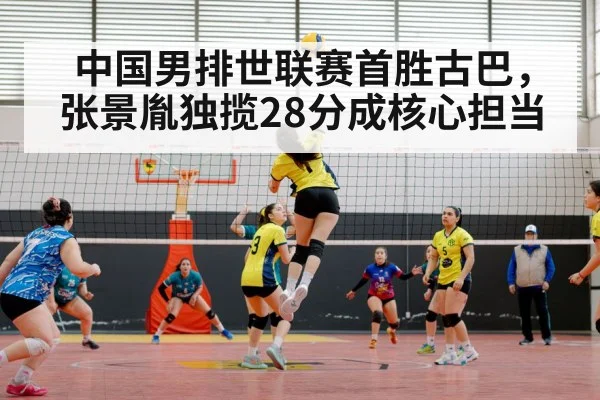 volleyball match action